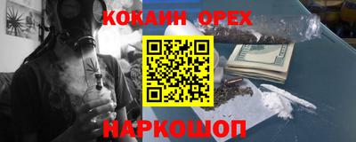кокс Можга