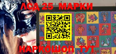 кокс Можга
